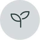 root